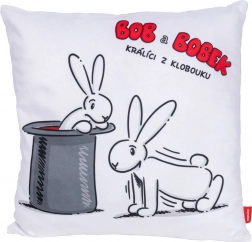 BOB OG BOBEK pude 30 × 30 cm – motiv træner