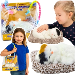 Sovende kat på pude med blød pels og miavelyde i bærbar taske