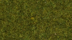 Statisk græs Noch vild eng, 9 mm