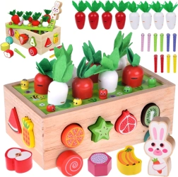 Træ Montessori havevogn med gulerodshøst, former og magnetiske orm