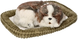 Adoptér mig – åndende Shih Tzu-hvalp