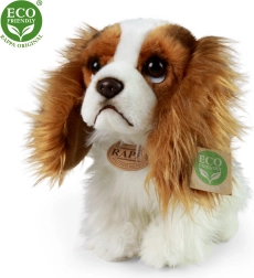 Plys hund King Charles spaniel 25 cm