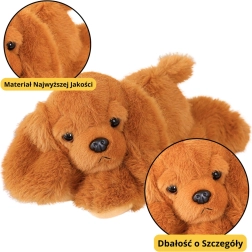Plys hund Cocker Spaniel med vægtede poter brun 30 cm