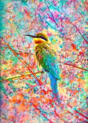 Puslespil Lykkelig lille fugl 1000 brikker