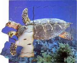 Lag-på-lag træpuslespil skildpadde - 19 dele