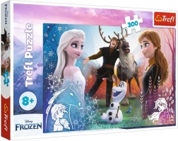 Puslespil 300 brikker – magisk tid DISNEY FROZEN 2