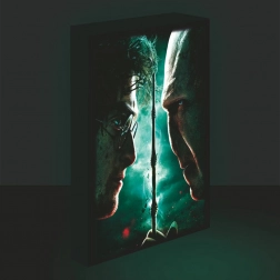 LED-billede lysende 30x40, Harry Potter - Harry vs. Voldemort