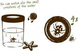 Navir Explora stor insektobservationskop