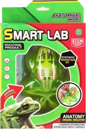 Frøens anatomi-spil
