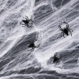 Hvid Halloween-edderkoppespind med edderkopper