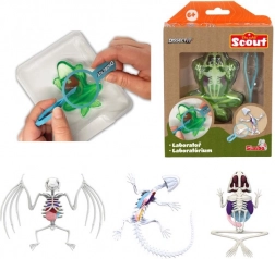 Mini dissektionslaboratorium – frø, salamander eller flagermus