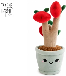 Plysæbletræ Take Me Home 30 cm
