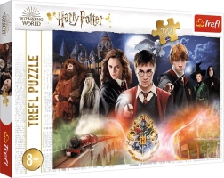 Puslespil HARRY POTTER – 300 brikker