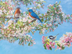 Puslespil Blomsterfestival XL 275 brikker fra Cobble Hill