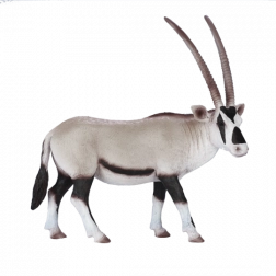 Mojo arabisk oryx