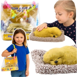 Sovende labrador på pude med blød pels og lyde