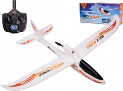 WLtoys Sky King F959S 2,4GHz RC fly