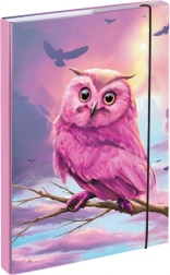 Mapper til skolehæfter A4 med uglemotiv BAAGL