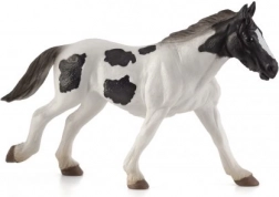 Mojo Irsk tinker årigt føl