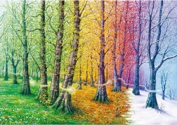 Puslespil Livets tråde 1000 brikker MAGNOLIA