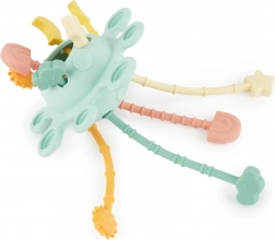 Silikone motorisk aktivitetslegetøj Eucalyptus