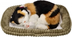 Åndende trefarvet killing på liggepude