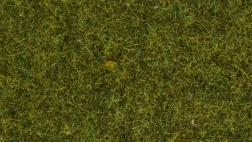 Statisk græs Eng 4 mm