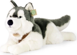 Bamse Husky 60 cm ØKO VENLIG