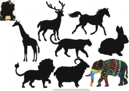 Skrabebilleder af dyr - regnbue 8 stk.