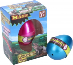 Voksende krokodilleæg 6,5 cm