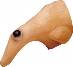 Heksens næse med vorte