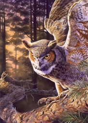 Puslespil Aftenjæger 1000 brikker