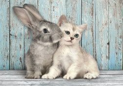 Puslespil 500 brikker kompakt kat og kanin