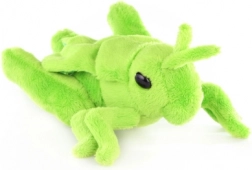 Plys græshoppe fra engen