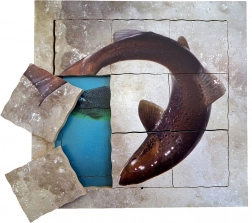 Just Jigsaws Laks og dens livscyklus - lagdelt træpuslespil