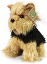 Plysshund yorkshire terrier 25 cm, miljøvenlig