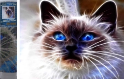 Diamantmaleri Kattemagi 30 × 40 cm