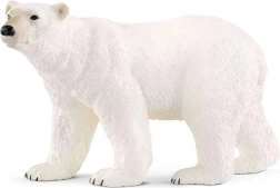 Isbjørn