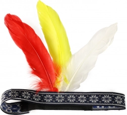Indiansk pandebånd med fjer til voksne