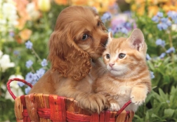 Maxi puslespil 104 brikker – Søde venner CLEMENTONI