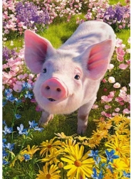 Cherry Pazzi puslespil Kan du lide mig? 500 brikker