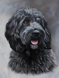 Diamantmaling sort cockapoo 30 × 40 cm