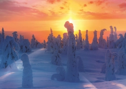 Puslespil Finsk natur 1000 brikker