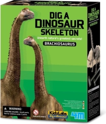 Udgravningssæt - Brachiosaurus