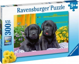 Ravensburger puslespil Puppy Life 300 brikker