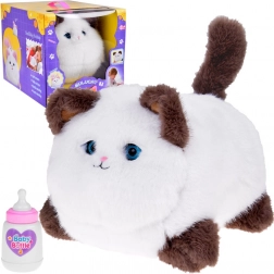 Interaktiv kat Puszek – miaver, spinder og bevæger øjnene