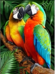 Diamantmosaik (diamond painting) farverige araer 30 × 40 cm