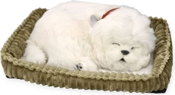 Interaktiv malteserhvalp Perfect Petzzz