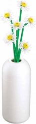 Sluban blomster – margueritter i vase