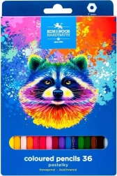 Sekskantede farveblyanter Vaskebjørn 36 stk.